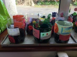 Planting seeds in Primary One