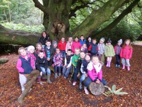 'Nature Detectives' in Castlewellan Forest Park