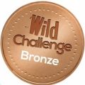 Wild Challenge Award
